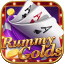 teen patti rummy joy icon