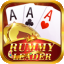 rummy cards set